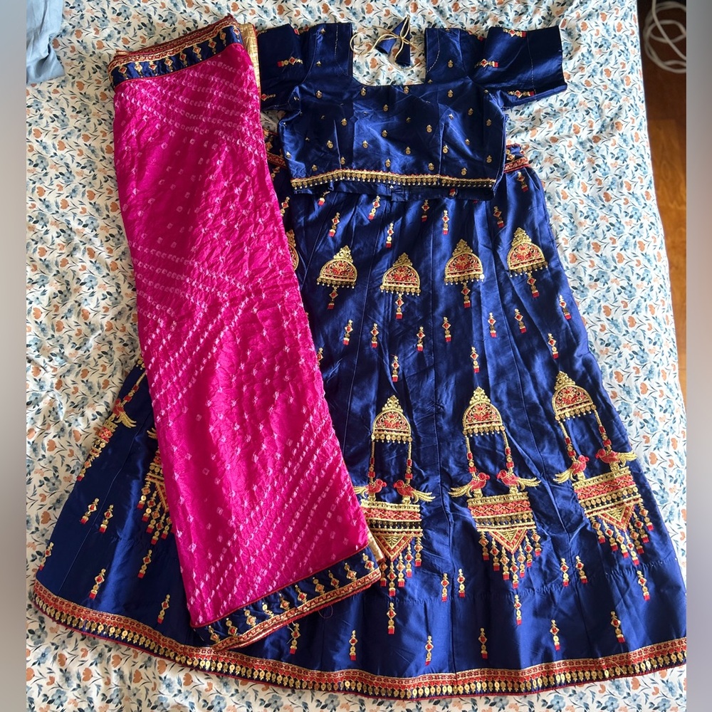 NWOT Indian Lehenga/Chaniya Choli